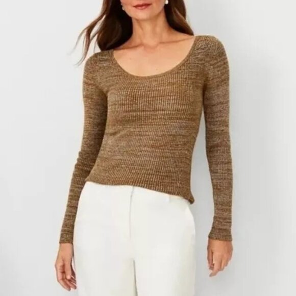 Ann Taylor Brown Scoop Neck Sweater - Picture 1 of 14